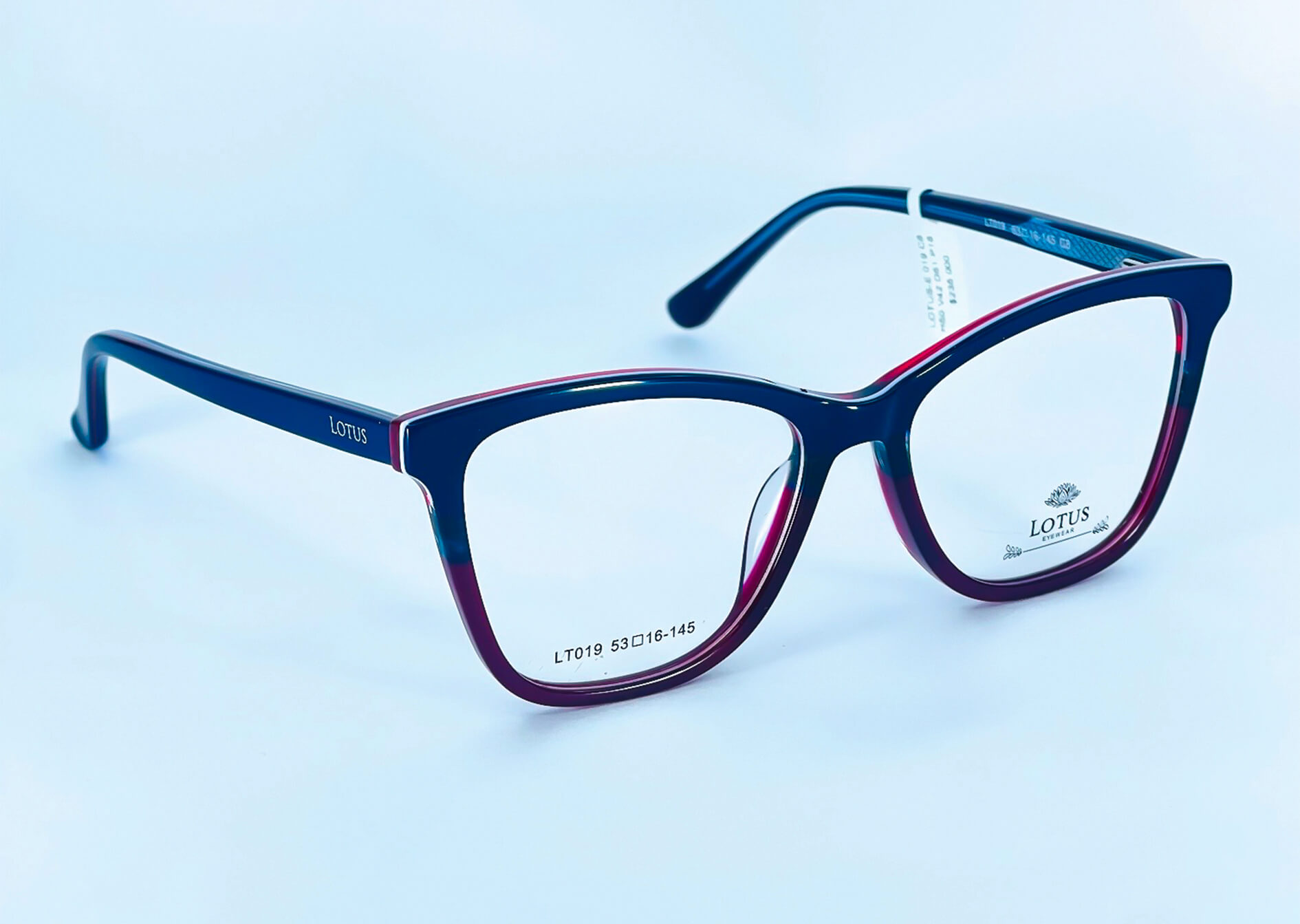 LOTUS-REF-917344-(1)