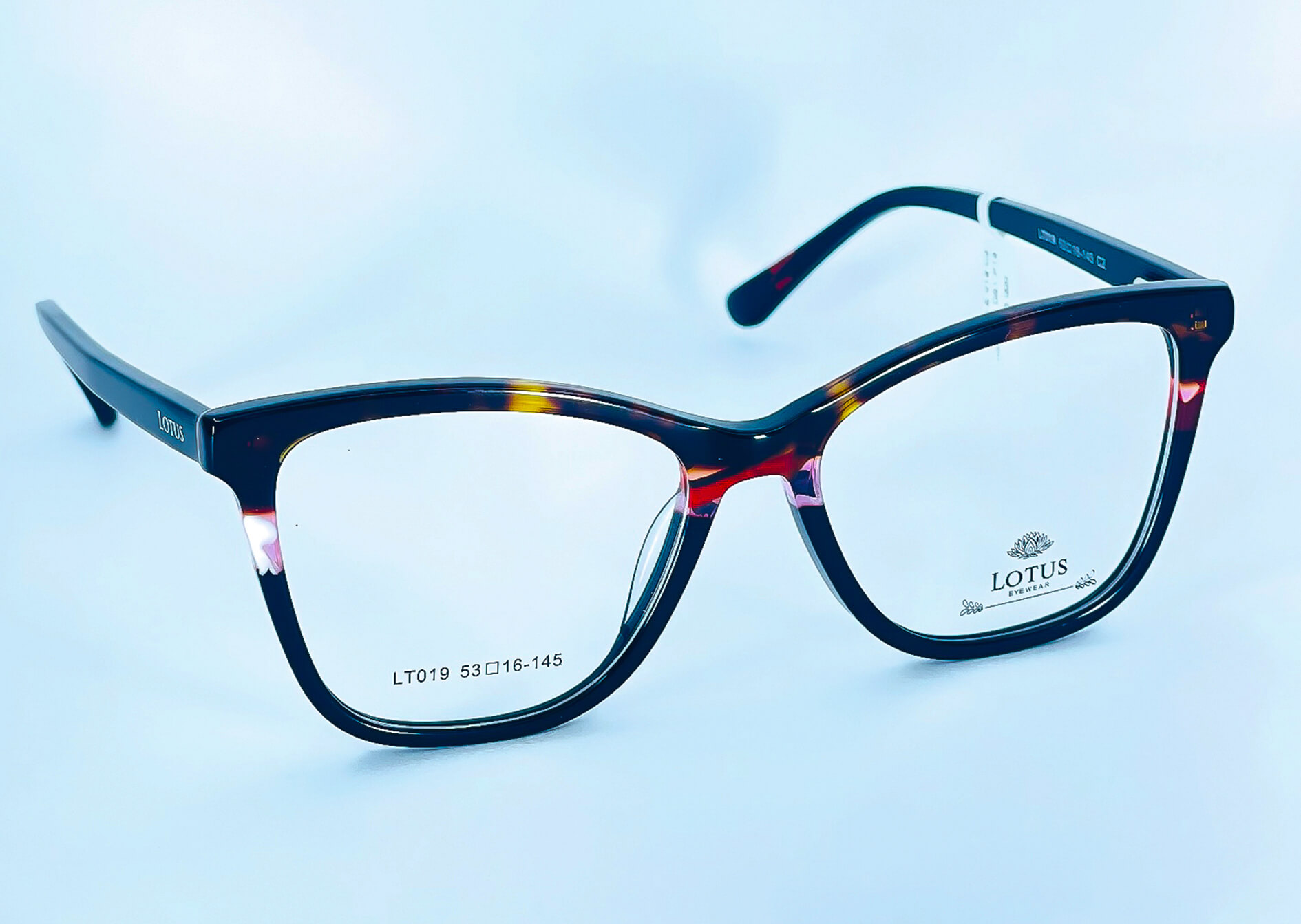 LOTUS-REF-917346-(1)