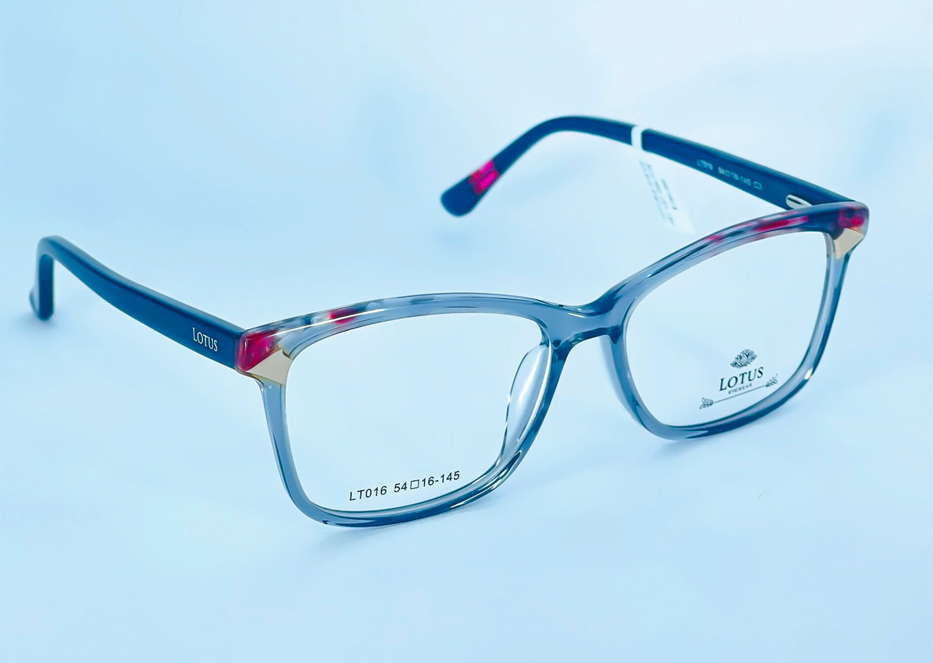 LOTUS-REF-917350-(1)